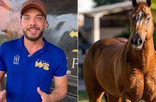 Wesley Safadão (Foto: Reprodução)