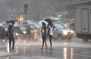 Defesa Civil confirma sete mortes após temporais no estado de SP (Foto: Divulgação) Defesa Civil confirma sete mortes após temporais no estado de SP (Foto: Divulgação)