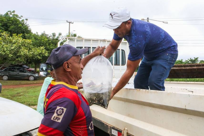 Distribuição de alevinos beneficia mais de duas mil famílias de agricultores no Piauí Distribuição de alevinos beneficia mais de duas mil famílias de agricultores no Piauí