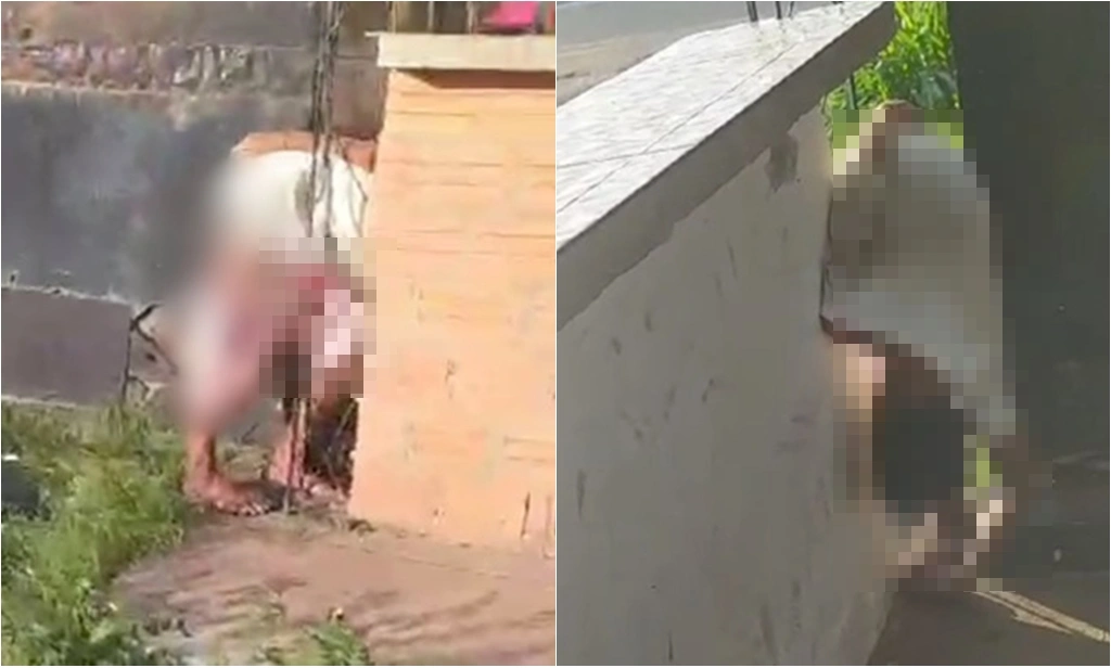 Homem é encontrado morto em trailler no centro de Timon