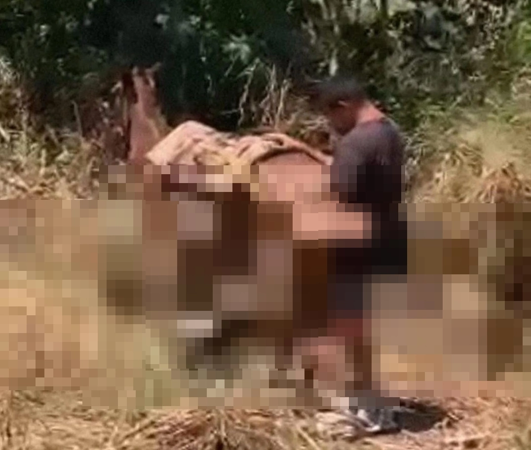 Homem é flagrado abusando de animal às margens da BR-316, na cidade de Picos