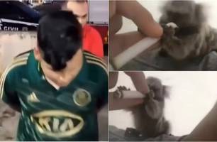 Jovem é preso após dar drogas para macaco na Paraíba (Foto: Reprodução)