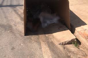 'Maguim do Picolé' é assassinado com golpe de faca durante briga em Demerval Lobão (Foto: Reprodução) 'Maguim do Picolé' é assassinado com golpe de faca durante briga em Demerval Lobão (Foto: Reprodução)