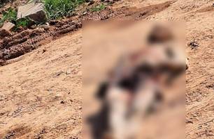 R.S.R., conhecido como 'Kadu' (Foto: Reprodução) R.S.R., conhecido como 'Kadu' (Foto: Reprodução)