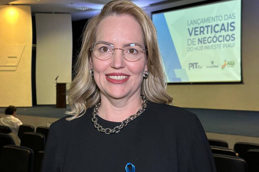 Programa de Verticais de Negócios do Hub Investe Piauí é lançado em Teresina Programa de Verticais de Negócios do Hub Investe Piauí é lançado em Teresina