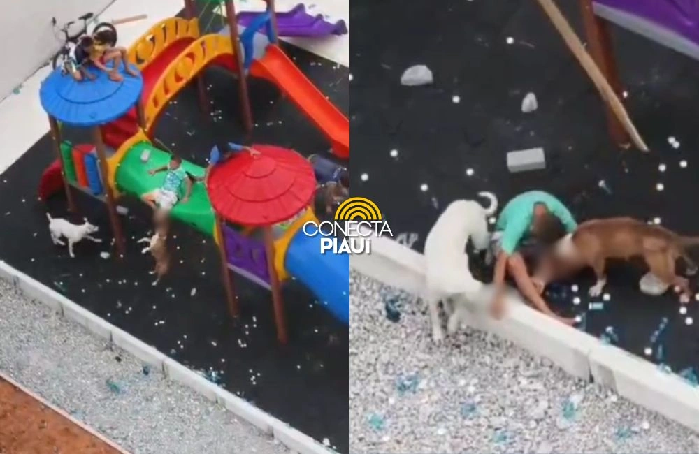 SP: crianças são atacadas por pitbulls enquanto brincavam em parquinho