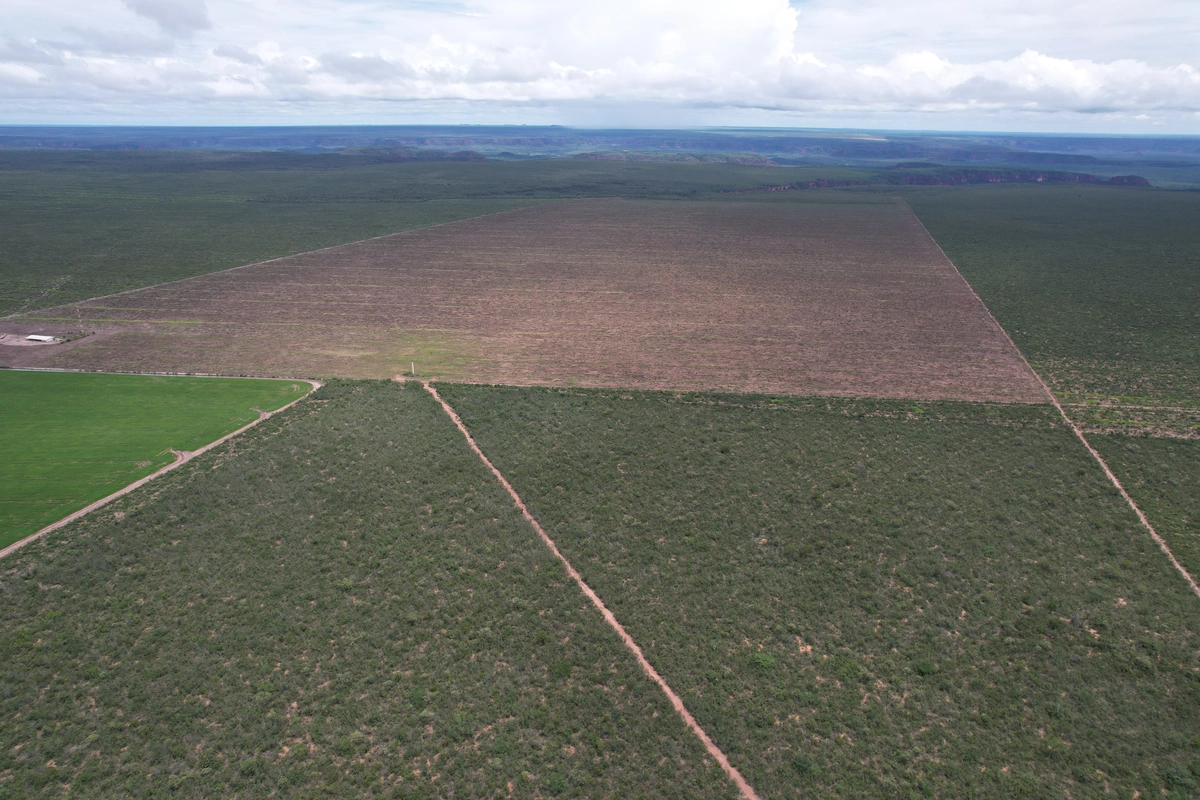 Área invadida por grilheiros