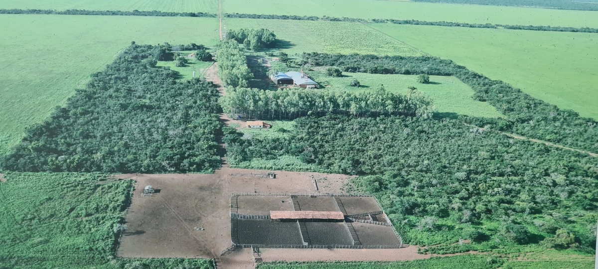 Área invadida por grilheiros