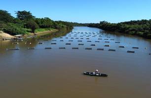 Codevasf investe R$ 2 milhões em equipamentos para fortalecer piscicultura no PI (Foto: Reprodução) Codevasf investe R$ 2 milhões em equipamentos para fortalecer piscicultura no PI (Foto: Reprodução)