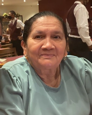 Falece a professora de Timon, Hortemisia Ursulino de Morais Andrade