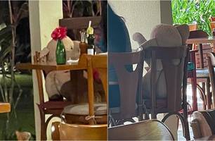 Mulher é vista em 'jantar romântico' com elefante de pelúcia em Luís Correia (Foto: Reprodução) Mulher é vista em 'jantar romântico' com elefante de pelúcia em Luís Correia (Foto: Reprodução)