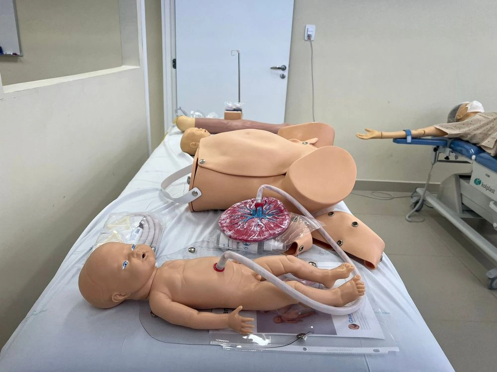 Nova Maternidade Evangelina Rosa realizou mais de 5 mil partos em 2024