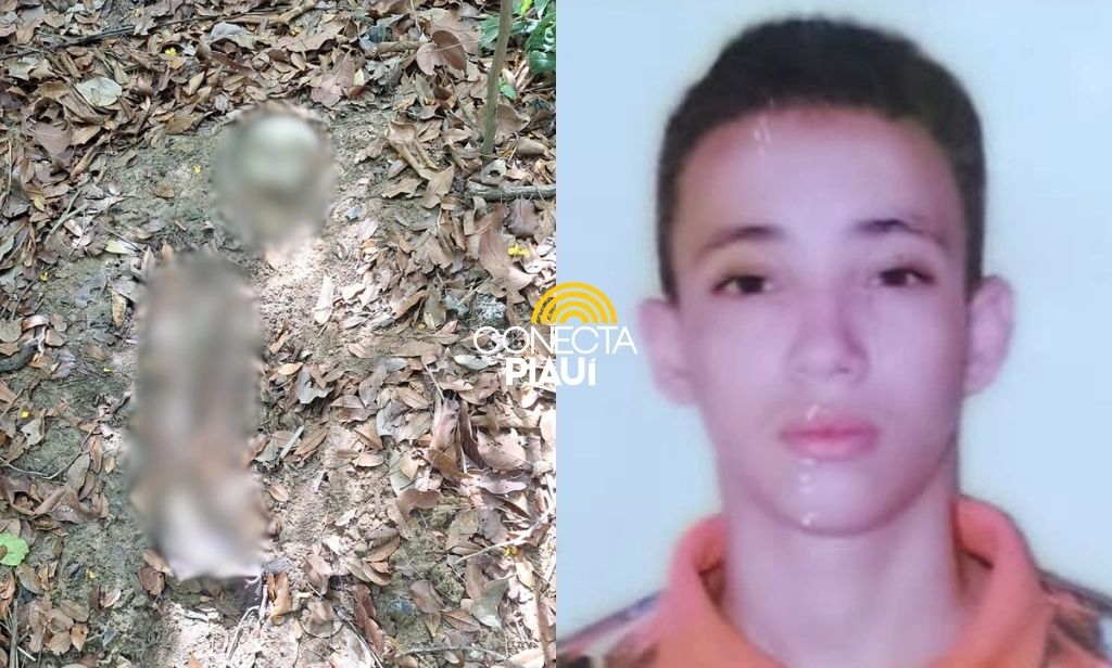 Ossada humana de vítima desaparecida há 1 ano é encontrada na zona Sul de Teresina