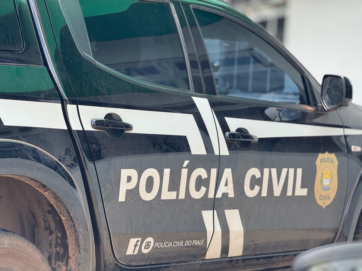 Polícia Civil do Piauí