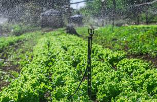 Sistemas de irrigação distribuídos pela SAF beneficiam mais de 2,6 mil famílias (Foto: Reprodução) Sistemas de irrigação distribuídos pela SAF beneficiam mais de 2,6 mil famílias (Foto: Reprodução)