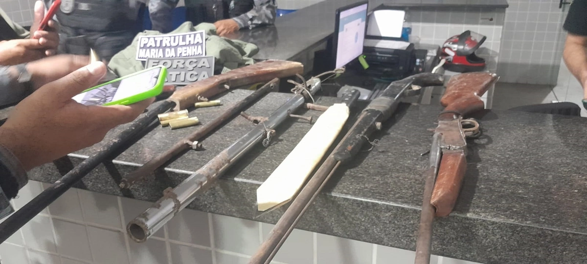 Armas apreendidas pela polícia