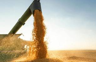 Balança comercial do Piauí tem superávit de R$ 294 milhões em janeiro (Foto: Reprodução) Balança comercial do Piauí tem superávit de R$ 294 milhões em janeiro (Foto: Reprodução)