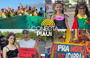Cobertura Carnaval - Demerval Lobão (Foto: Conecta Piauí) Cobertura Carnaval - Demerval Lobão (Foto: Conecta Piauí)