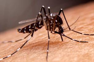 Com apenas 5 dias de vida, bebê contrai dengue e é internado em UTI (Foto: Reprodução)