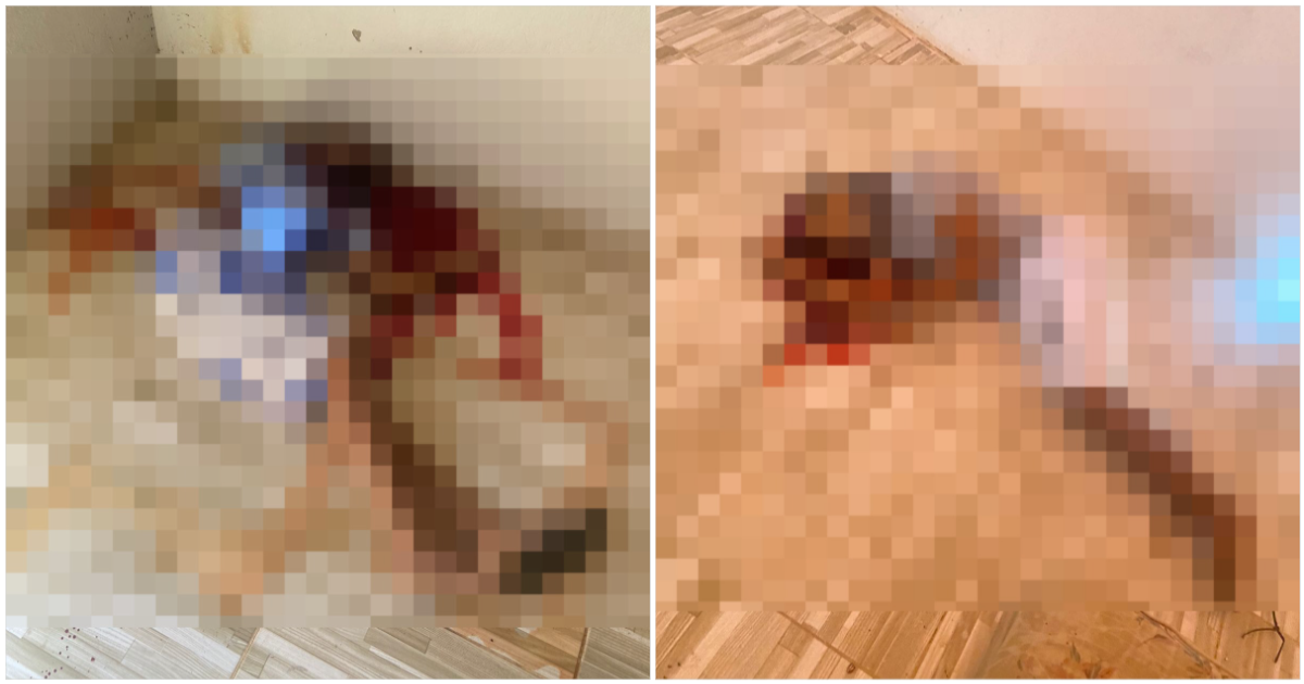 Dois homens são amarrados e executados a tiros no Sul do Piauí