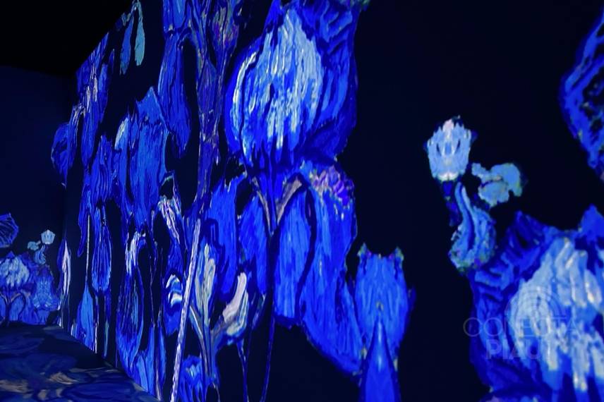 Exposição Van Gogh & Impressionistas Exposição Van Gogh & Impressionistas