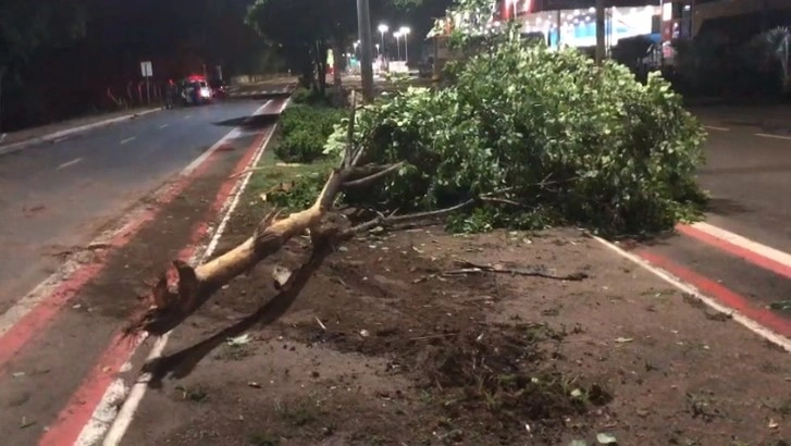 Família fica ferida após carro bater em árvore em Timon