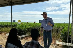 Fazenda Progresso realiza Dia de Campo e recebe autoridades e produtores (Foto: Stefanny Sales / Conecta Piauí) Fazenda Progresso realiza Dia de Campo e recebe autoridades e produtores (Foto: Stefanny Sales / Conecta Piauí)