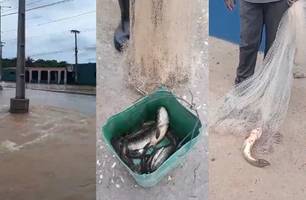 Homem pesca peixes em avenida alagada durante forte chuva em Teresina (Foto: Reprodução) Homem pesca peixes em avenida alagada durante forte chuva em Teresina (Foto: Reprodução)