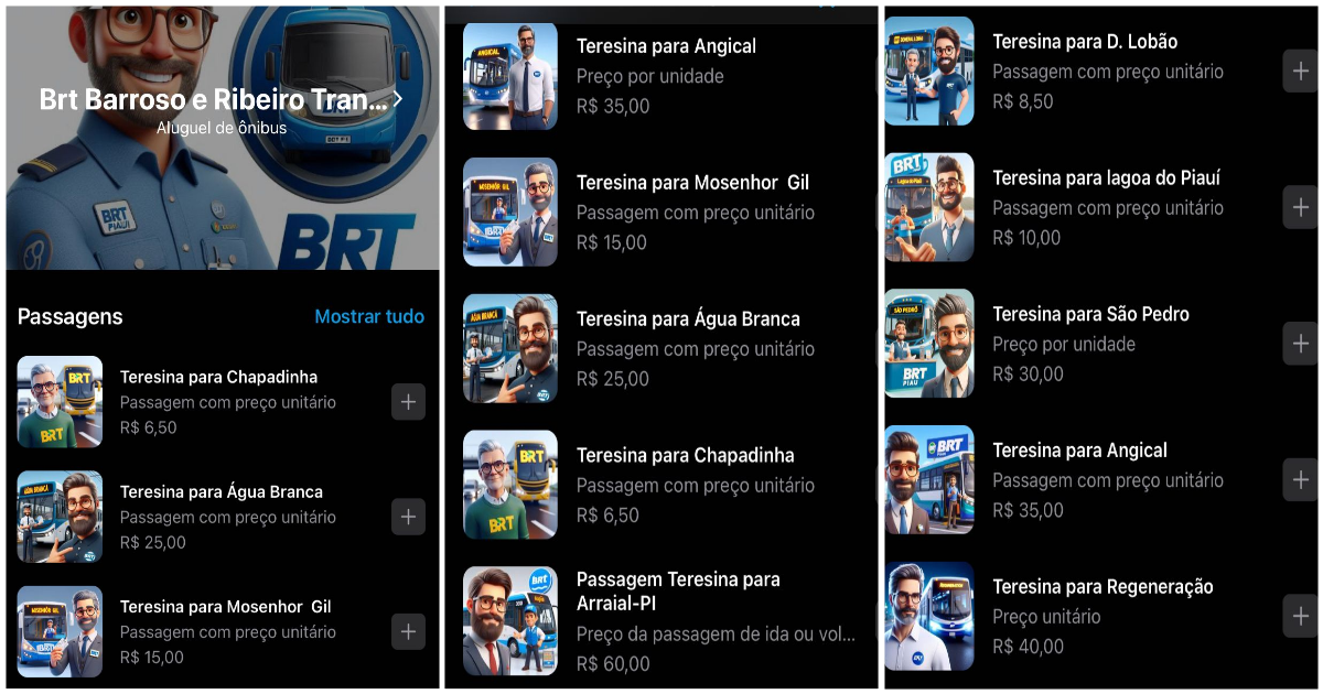 Linha de ônibus para Demerval Lobão e região aumenta preço da passagem