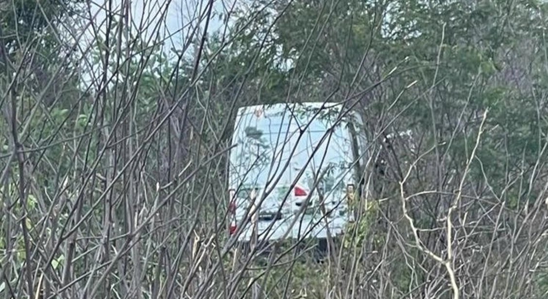 Motorista de van joga veículo em mata para evitar acidente