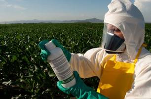 . (Foto: Reprodução) . (Foto: Reprodução)