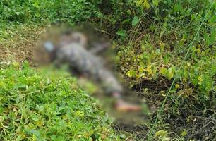 Corpo de homem em avançado estado de decomposição é encontrado em Parnaíba (Foto: Reprodução) Corpo de homem em avançado estado de decomposição é encontrado em Parnaíba (Foto: Reprodução)