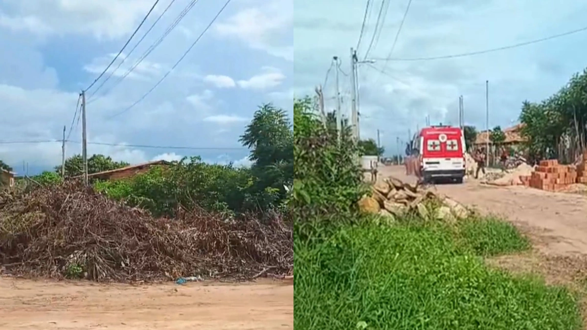 Enxame de abelhas ataca cinco pessoas em Parnaíba; três foram socorridas
