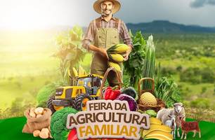 Feira em Campo Maior (Foto: Reprodução)