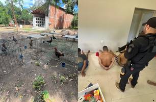 Grupo que usava rinha de galos para lavar dinheiro do tráfico é preso em Teresina (Foto: Reprodução) Grupo que usava rinha de galos para lavar dinheiro do tráfico é preso em Teresina (Foto: Reprodução)