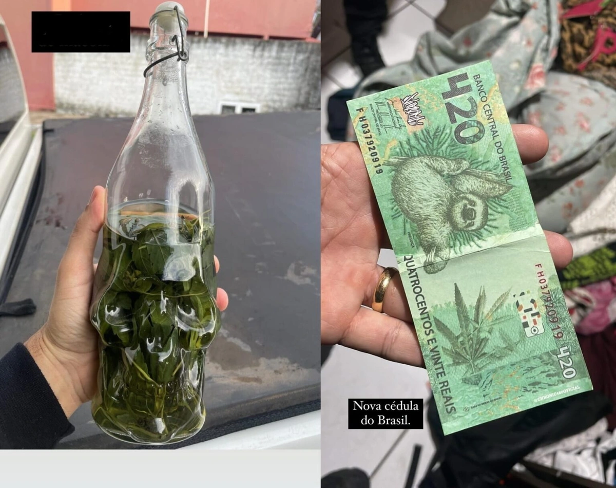 Material apreendido pela FICCO