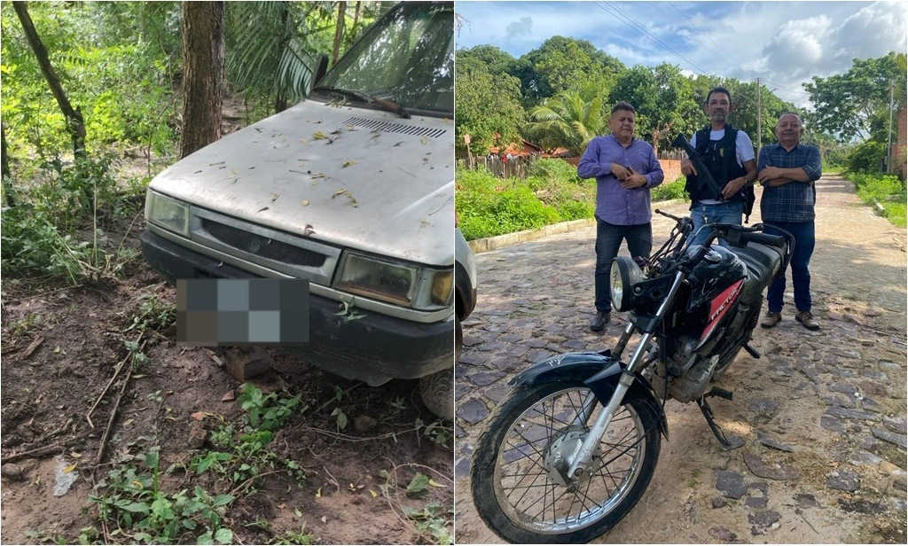 Veículos encontrados