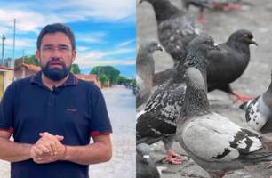 Vereador propõe criar Dia do Criador do Pombo em Parnaíba e gera polêmica (Foto: Reprodução) Vereador propõe criar Dia do Criador do Pombo em Parnaíba e gera polêmica (Foto: Reprodução)