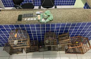 Drogas e pássaros silvestres são apreendidos durante abordagem a grupo em Parnaíba (Foto: Reprodução/PMPI) Drogas e pássaros silvestres são apreendidos durante abordagem a grupo em Parnaíba (Foto: Reprodução/PMPI)