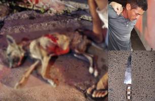 Justiça decreta prisão de homem que matou cadela a facadas em Luís Correia (Foto: Reprodução) Justiça decreta prisão de homem que matou cadela a facadas em Luís Correia (Foto: Reprodução)