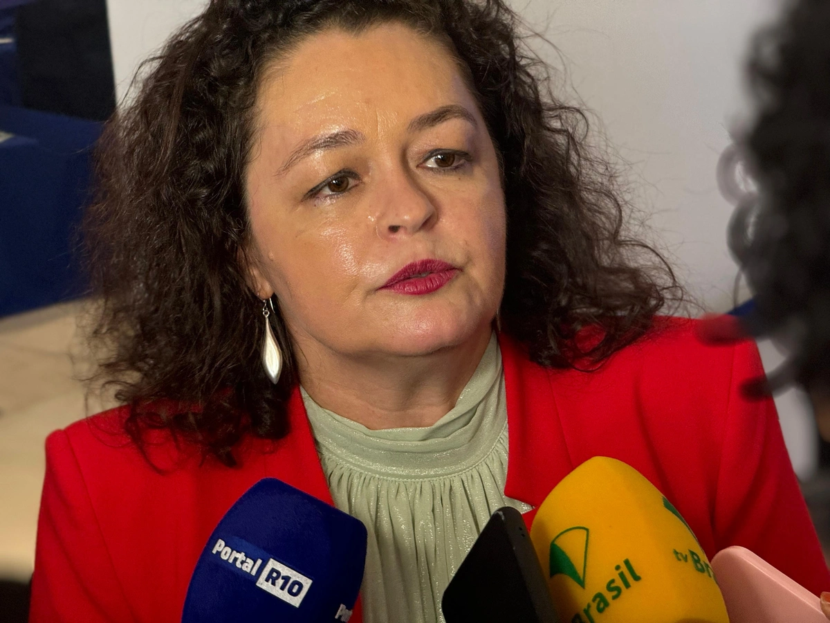 Presidente do ICIMA, Ana Paula Moura Rodrigues