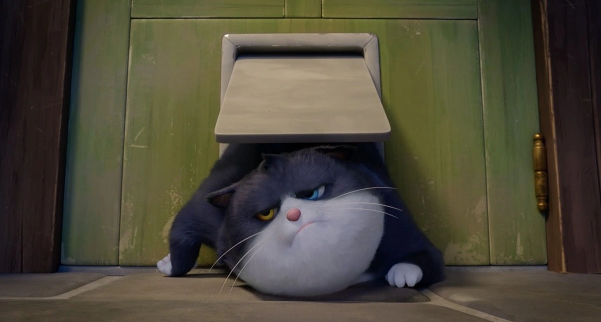 Um Gato de Sorte