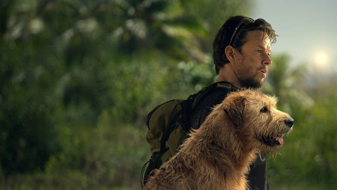 Uma prova de coragem