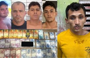 Zoio de gato (Foto: Reprodução)