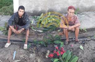 Dupla é presa após fingir capinar terreno para roubar residência em Teresina (Foto: Reprodução) Dupla é presa após fingir capinar terreno para roubar residência em Teresina (Foto: Reprodução)