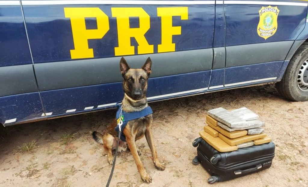 Mulher é presa com 11 tabletes de cocaína