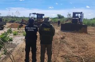 Operação Cerrado Vivo (Foto: Reprodução) Operação Cerrado Vivo (Foto: Reprodução)
