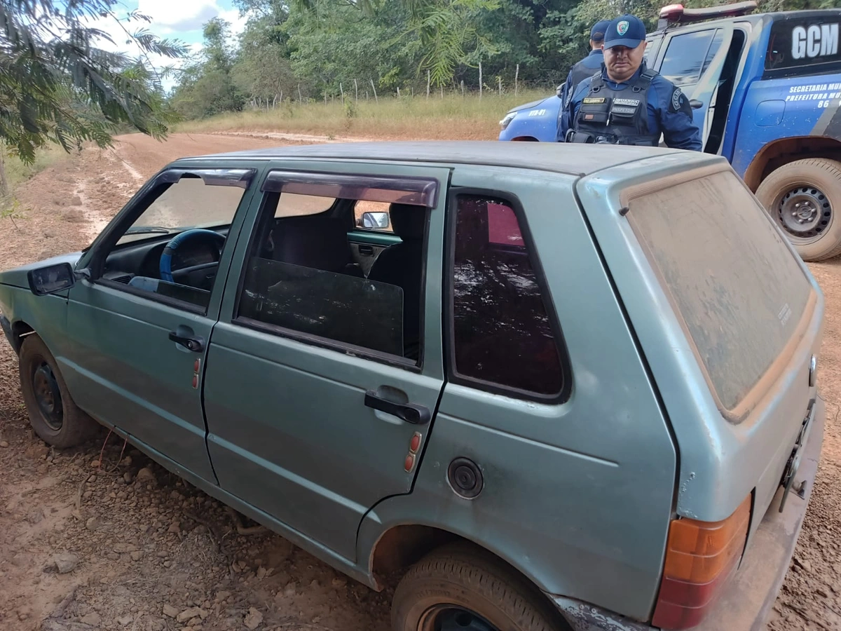 Carro usado para transportar os animais abatidos