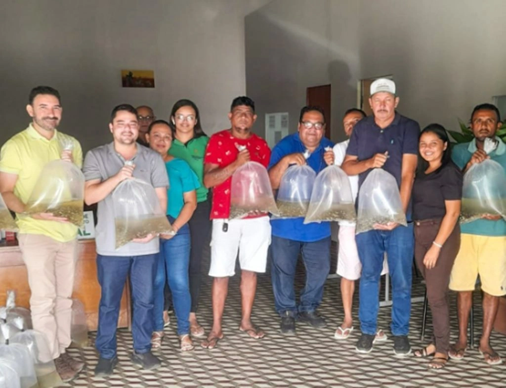 Prefeitura de Campo Maior distribui alevinos de Tambatinga para piscicultores