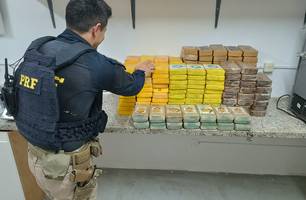 PRF apreende mais de 185 tabletes de cocaína dentro de caminhão frigorífico em THE (Foto: Reprodução) PRF apreende mais de 185 tabletes de cocaína dentro de caminhão frigorífico em THE (Foto: Reprodução)